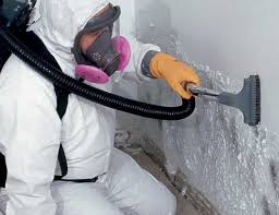 Reliable Mount Sinai, NY Mold Removal Solutions